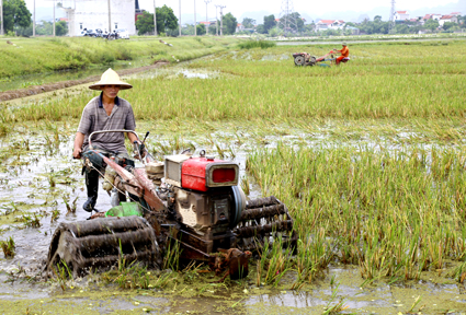 Làm đất gieo cấy vụ mùa ở xã Gia Tân (Gia Viễn). Ảnh: Đức Lam