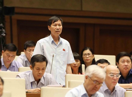 Đại biểu Bùi Văn Phương (Phó trưởng Đoàn ĐBQH tỉnh Ninh Bình) tranh luận tại phiên họp. Ảnh:TTXVN