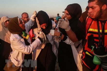 Người biểu tình Palestine bị thương trong xung đột với binh sỹ Israel ở phía bắc Dải Gaza ngày 19/11/2018.