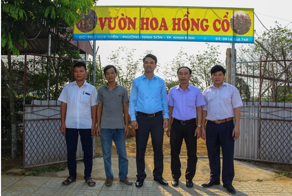(Đc Đinh Hồng Thái – Chủ tịch Hội Nông dân tỉnh đã có buổi thăm quan và làm việc tại mô hình trồng hoa hồng cổ)