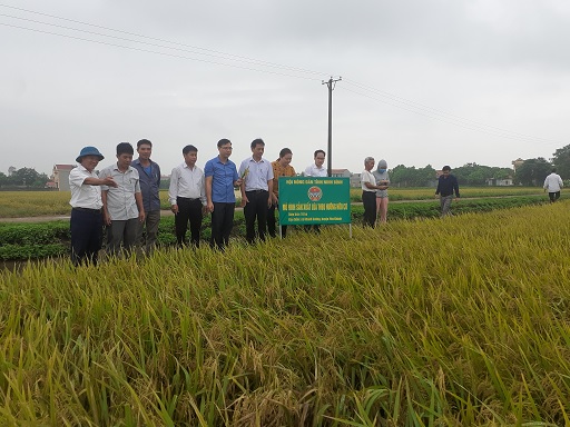Ảnh: Các đồng chí đại biểu đánh giá kết quả thực hiện mô hình tại HTX nông nghiệp Nam Cường, xã Khánh Cường .