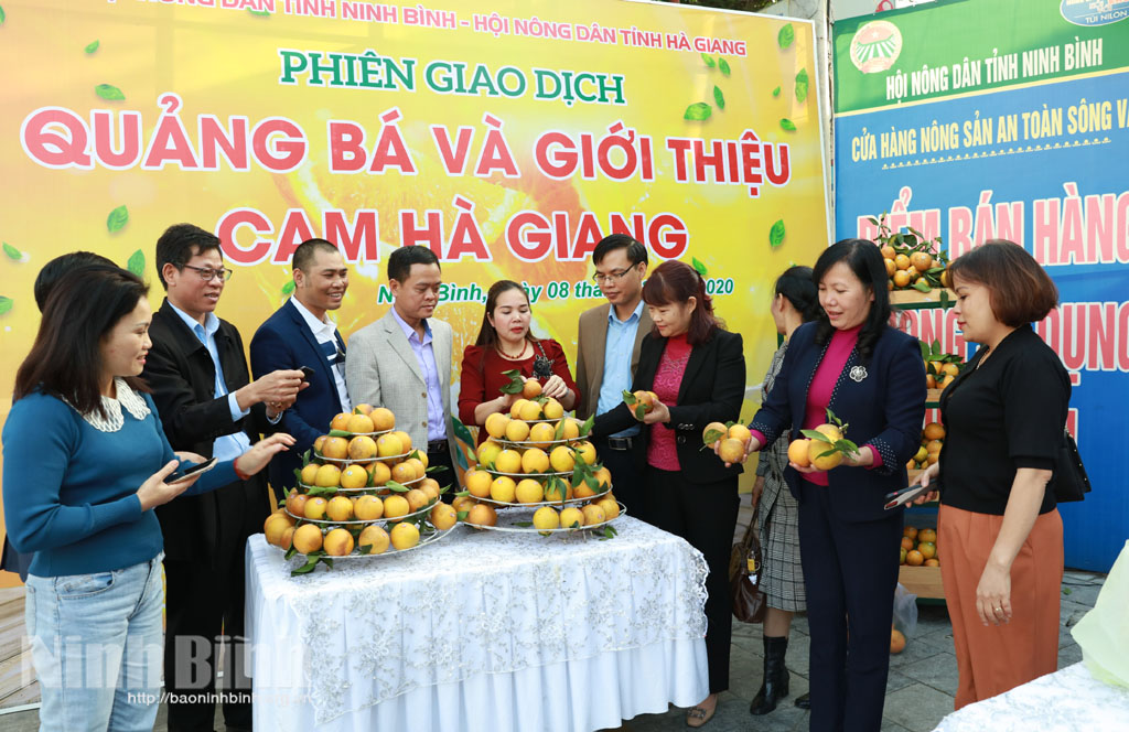 Các đại biểu dự hội nghị xúc tiến sản phẩm cam Hà Giang.