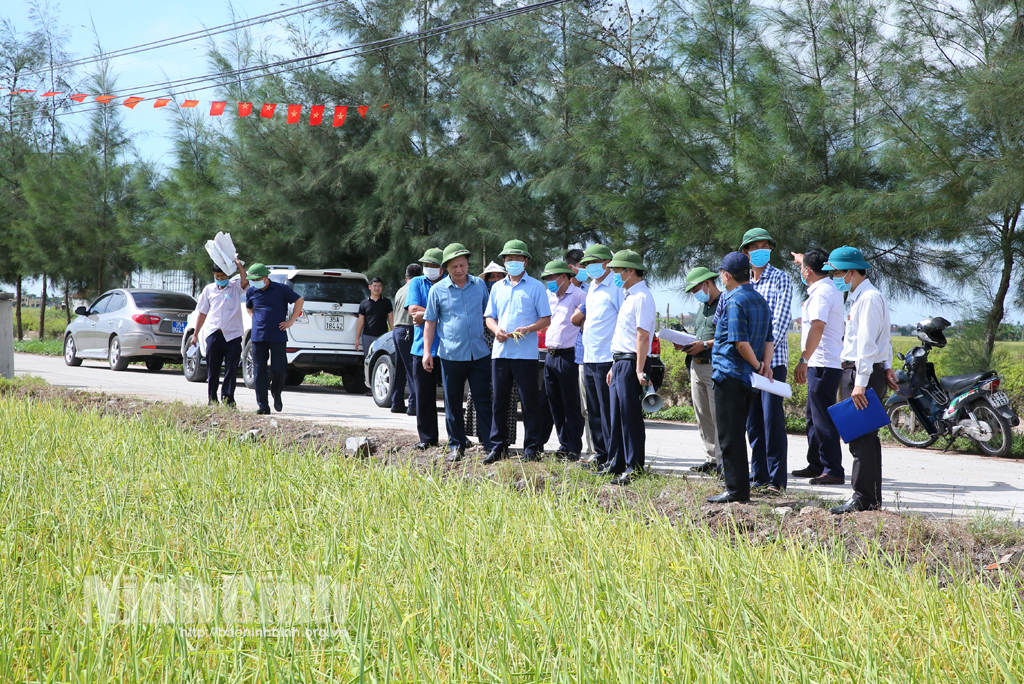 Các đại biểu tham quan, đánh giá sơ bộ mô hình sản xuất giống lúa ST25 tại xã Chất Bình, Kim Sơn