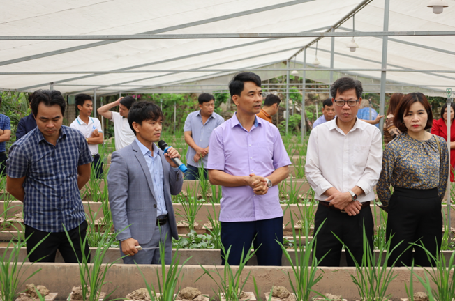 Các đại biểu thăm quan mô hình nuôi lươn không bùn của gia đình anh Trần Văn Quang, xóm Phụ Cấp, xã Kim Mỹ. .