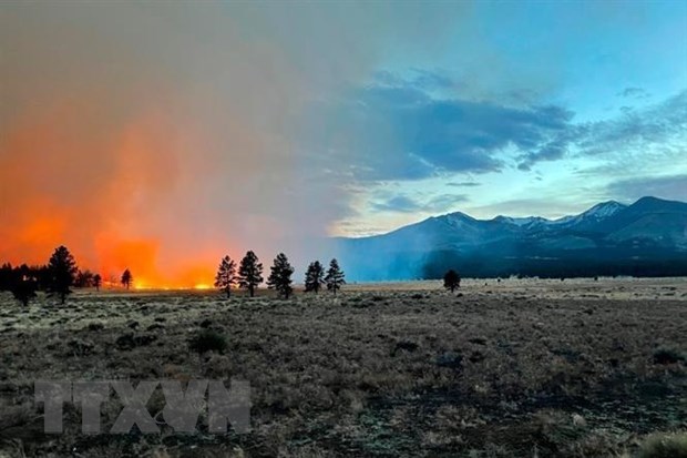Khói lửa bốc lên từ đám cháy rừng ở bang Arizona, Tây Nam nước Mỹ ngày 19/4. (Ảnh: AP/TTXVN)